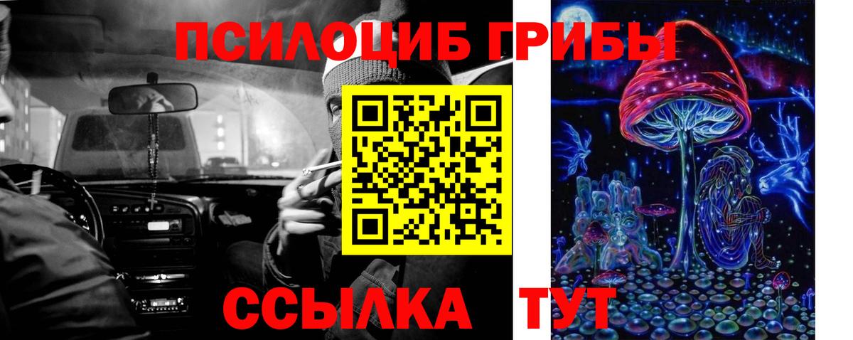 Псилоцибиновые грибы Cubensis Владивосток