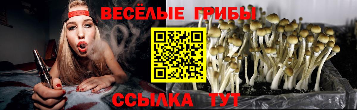 Псилоцибиновые грибы мухоморы  Вход с VPN  Владивосток 