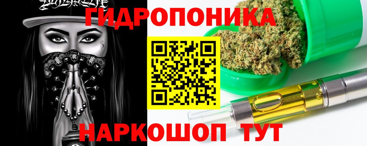 Канабис White Widow  Конопля OG Kush  Шишки марихуана тримм  Вход с VPN  Владивосток 